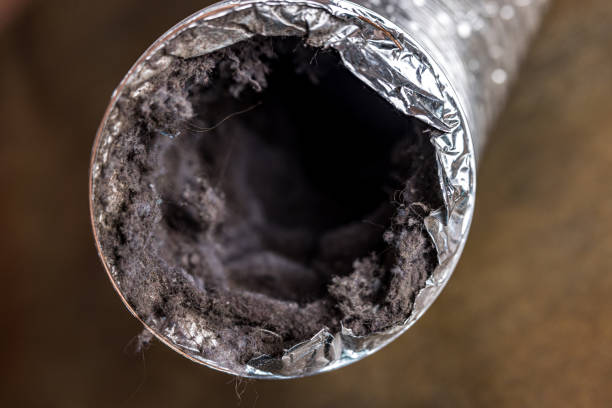 Best Air Duct Cleaning Near Me  in Liberty Hill, TX